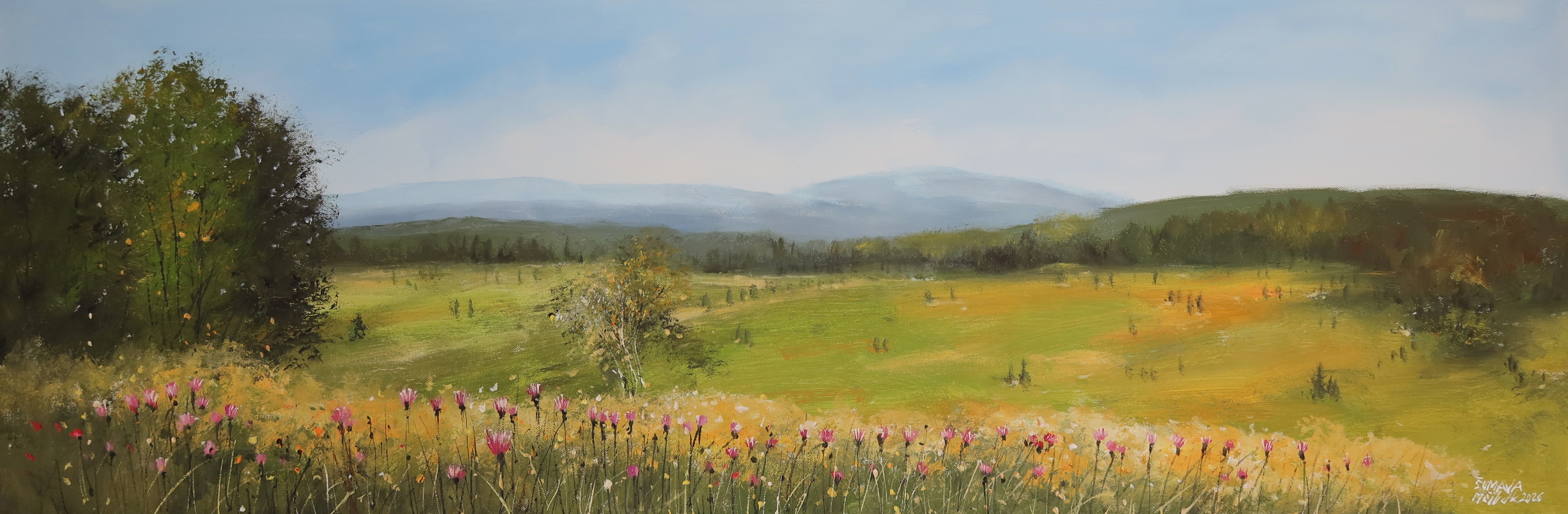 Šumava - Modrava