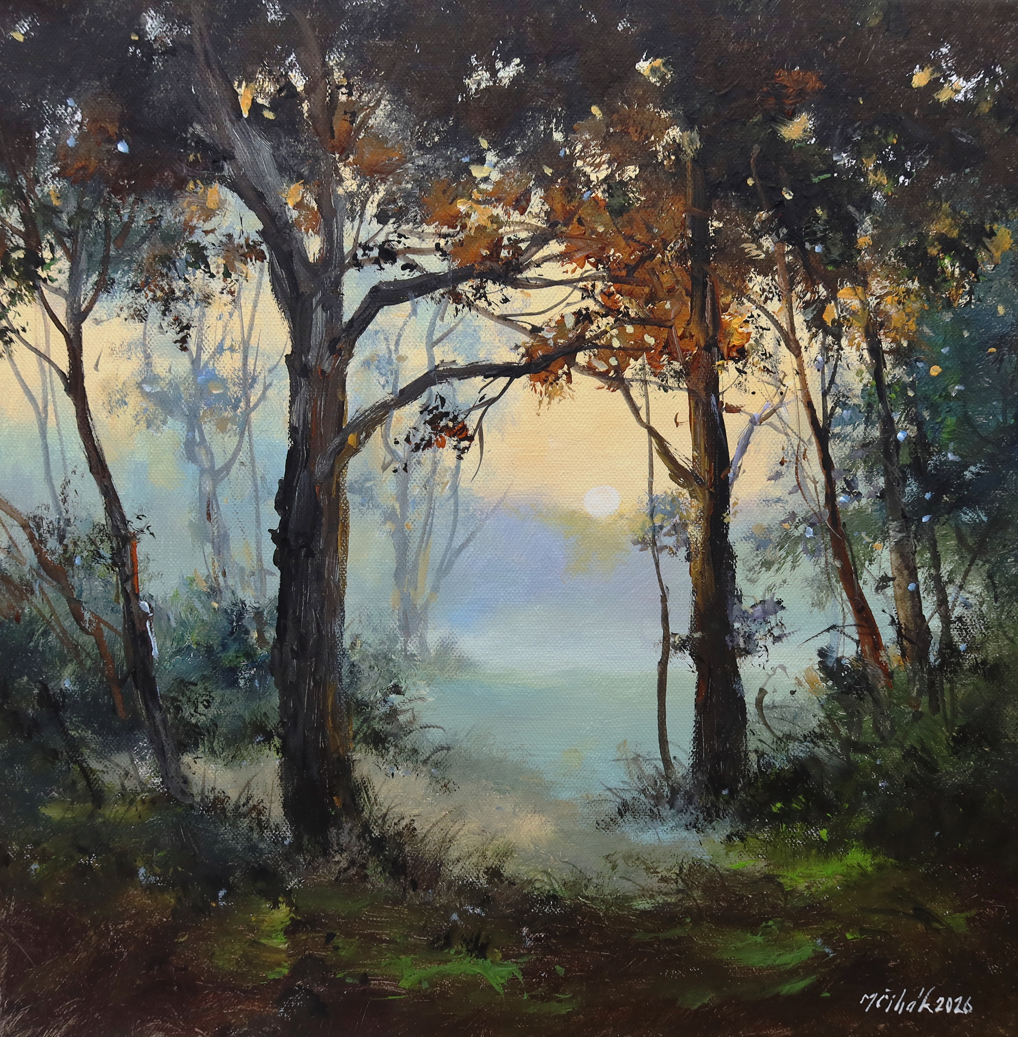 Podvečerní les
