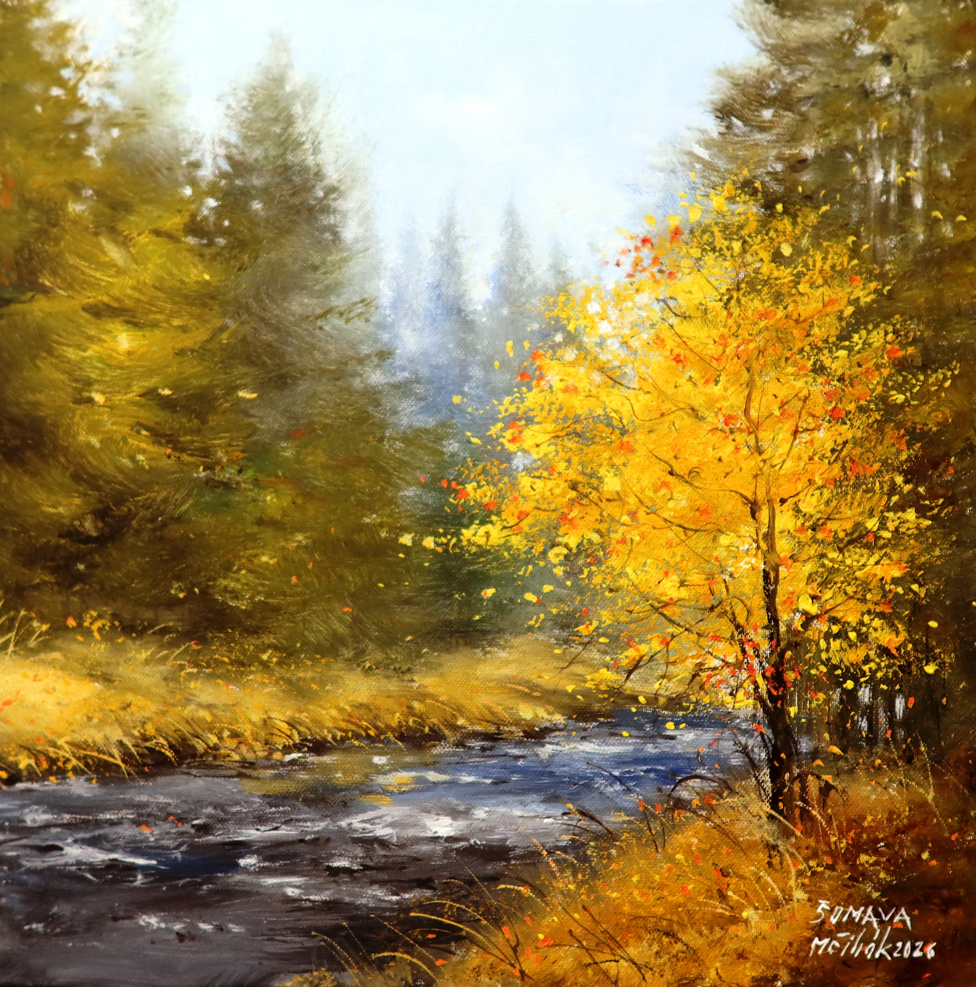 Šumava - Podzimní Křemelná