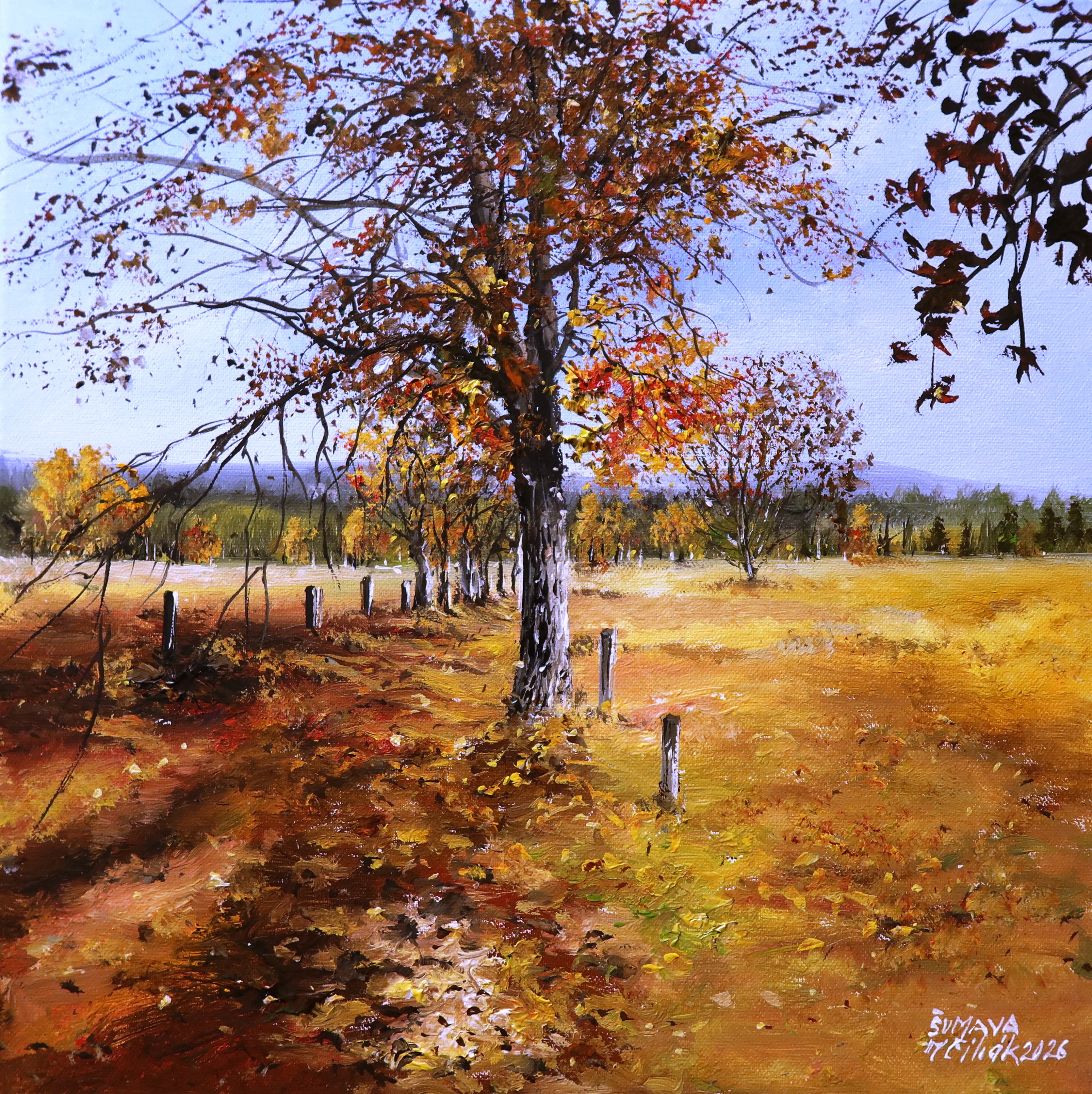 Šumava - Podzimní Knížecí Pláně