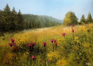 Šumava - Vchynické louky