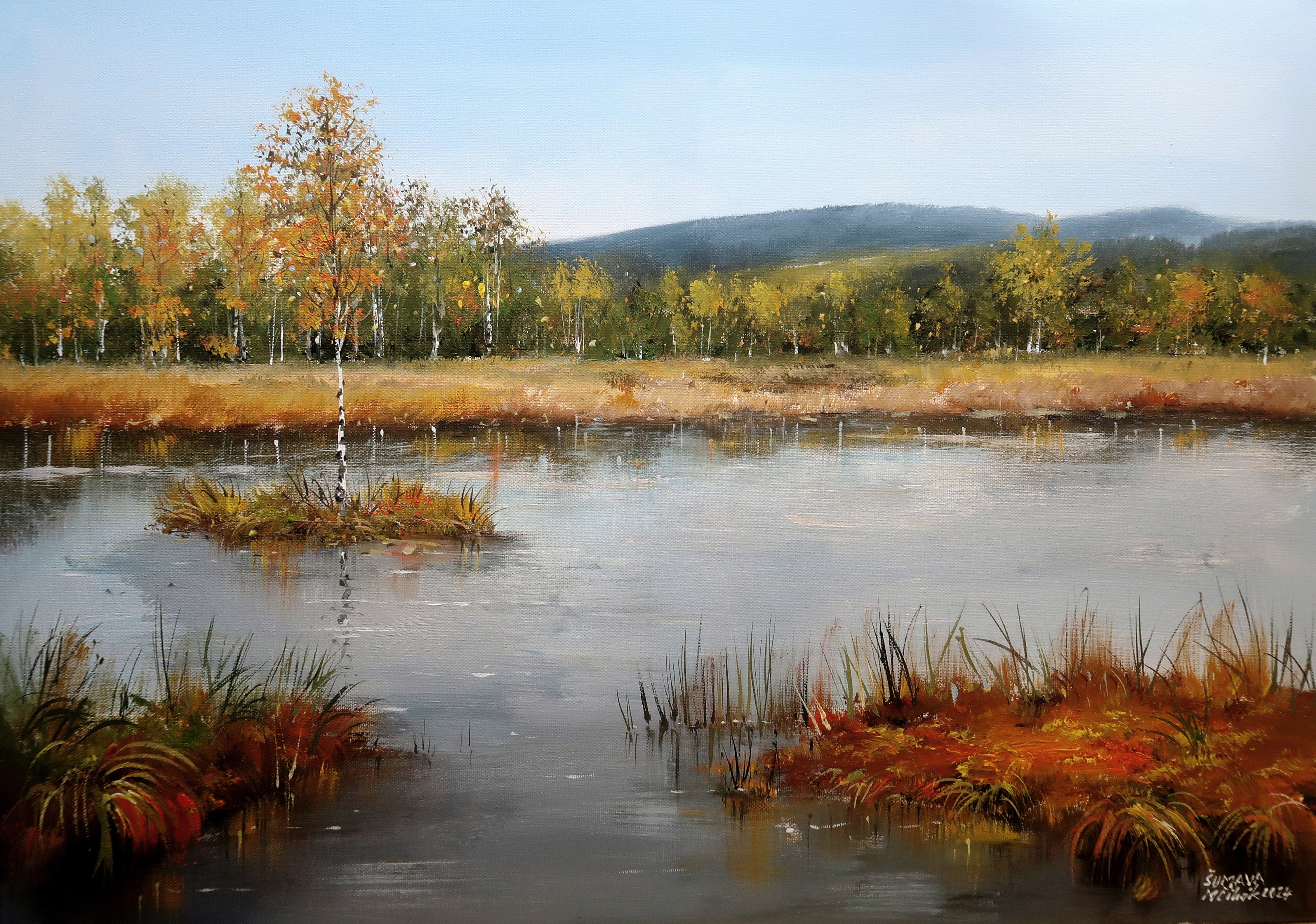 Šumava - Chalupská slať