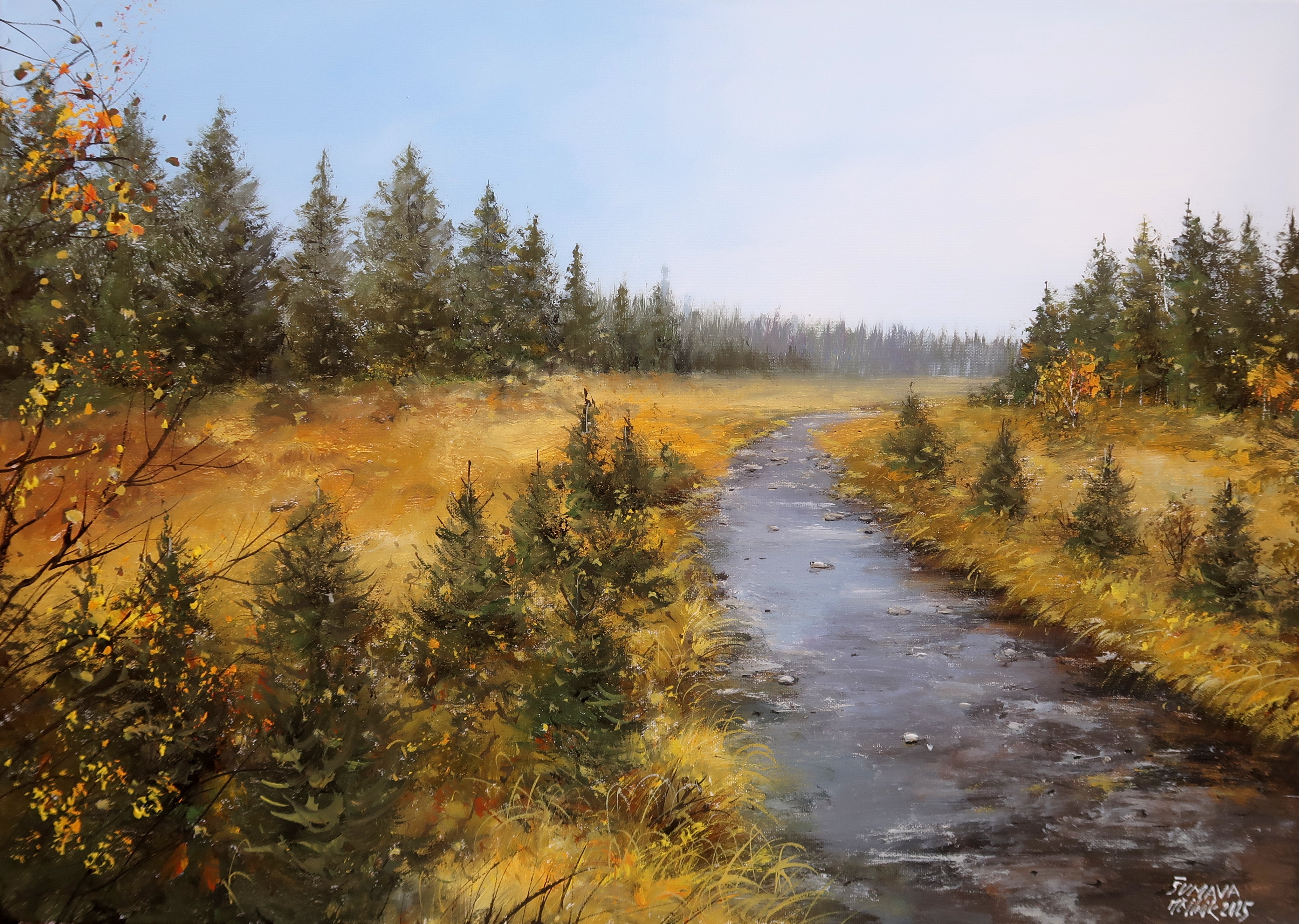 Šumava - Roklanský potok