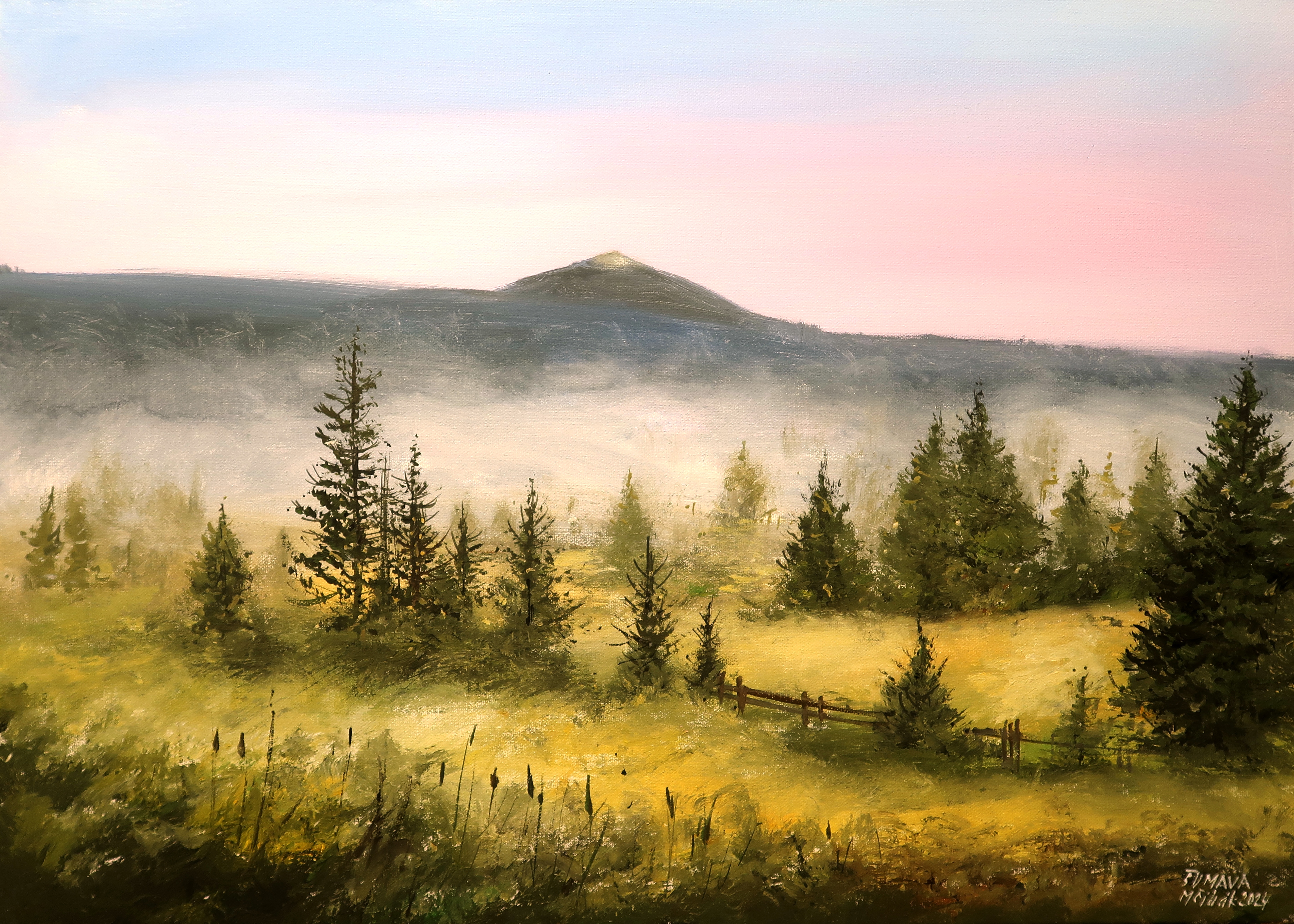 Šumava - Mlhavý Březník