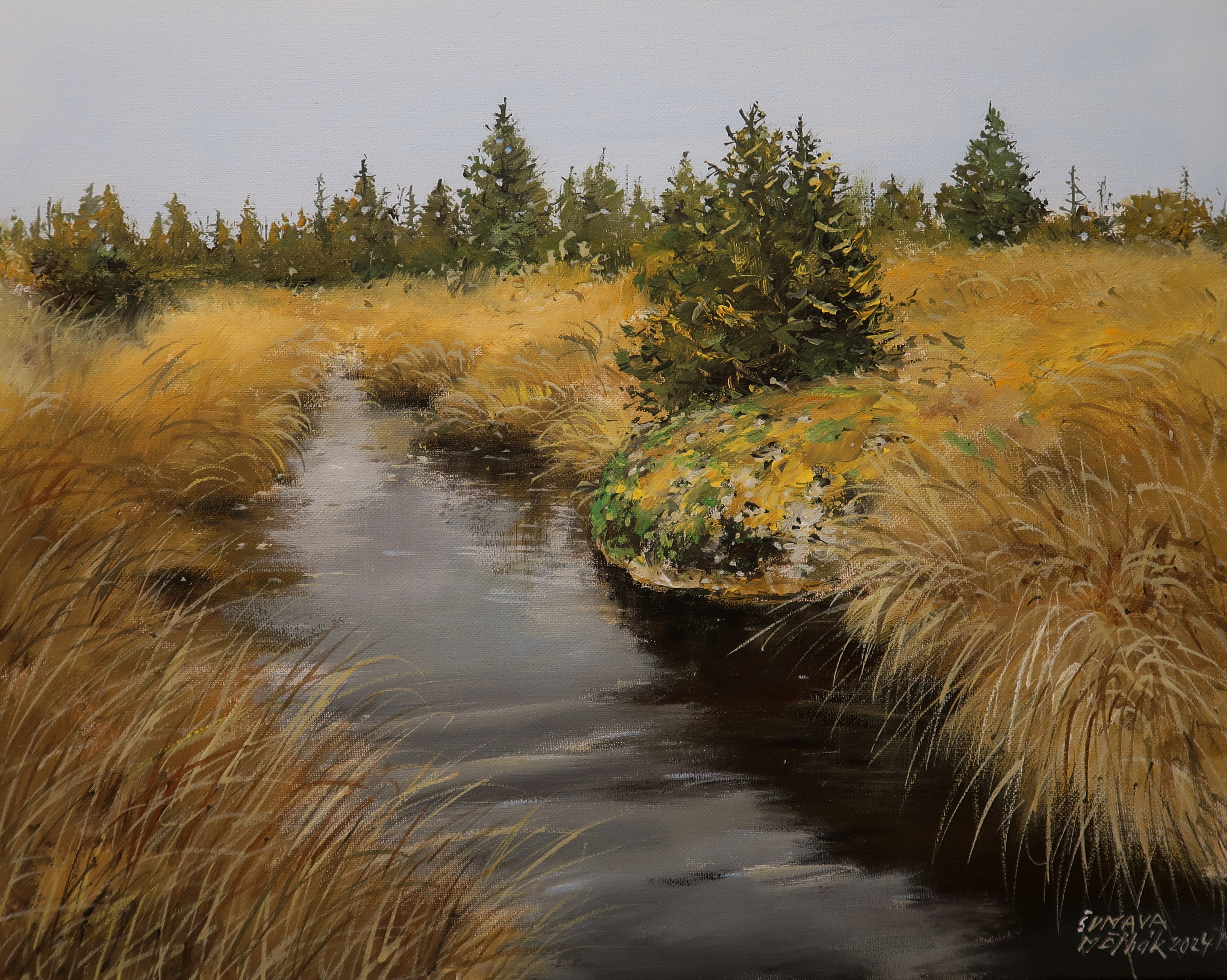 Šumava - Údolí Rokytky