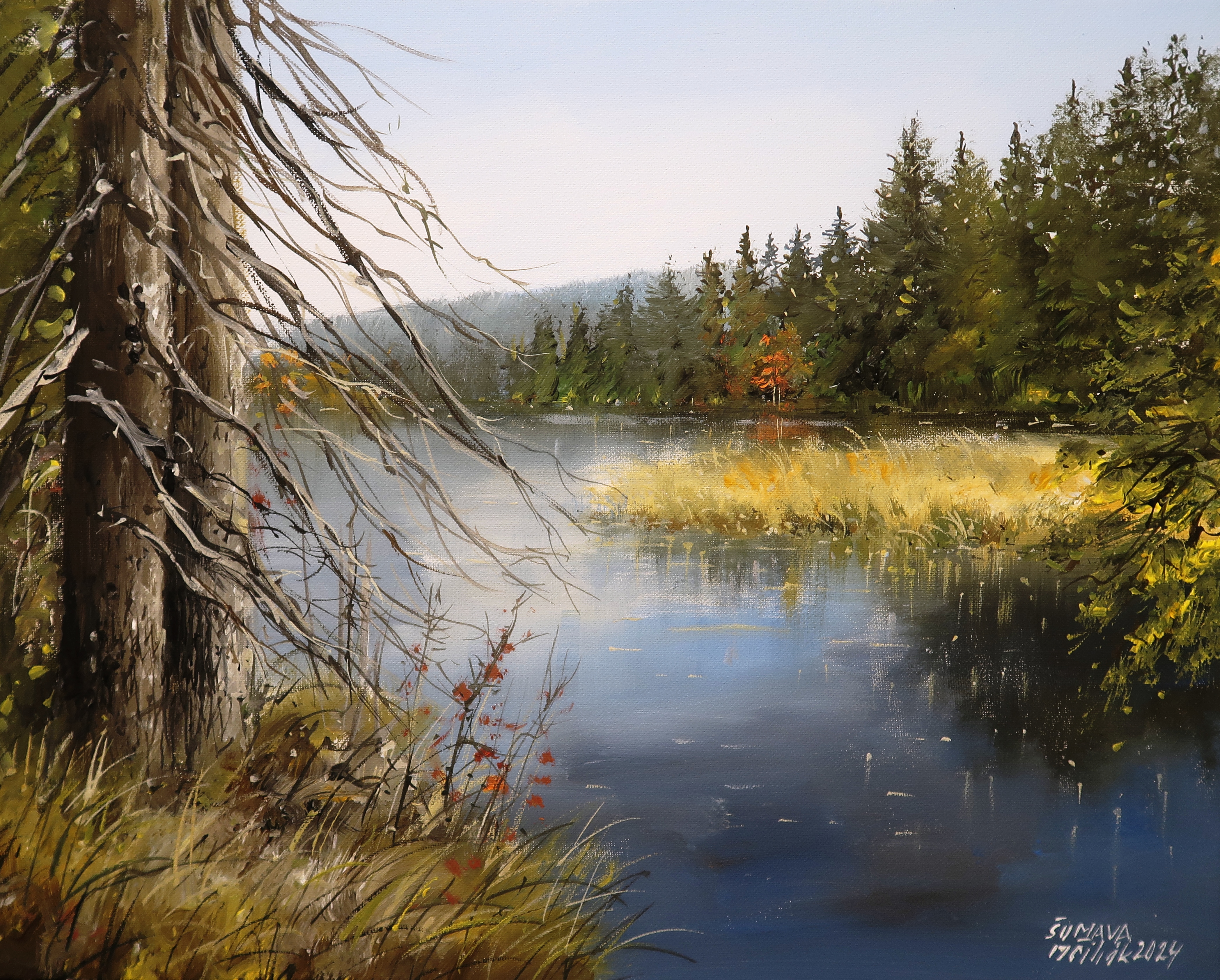 Šumava - Jezero Laka