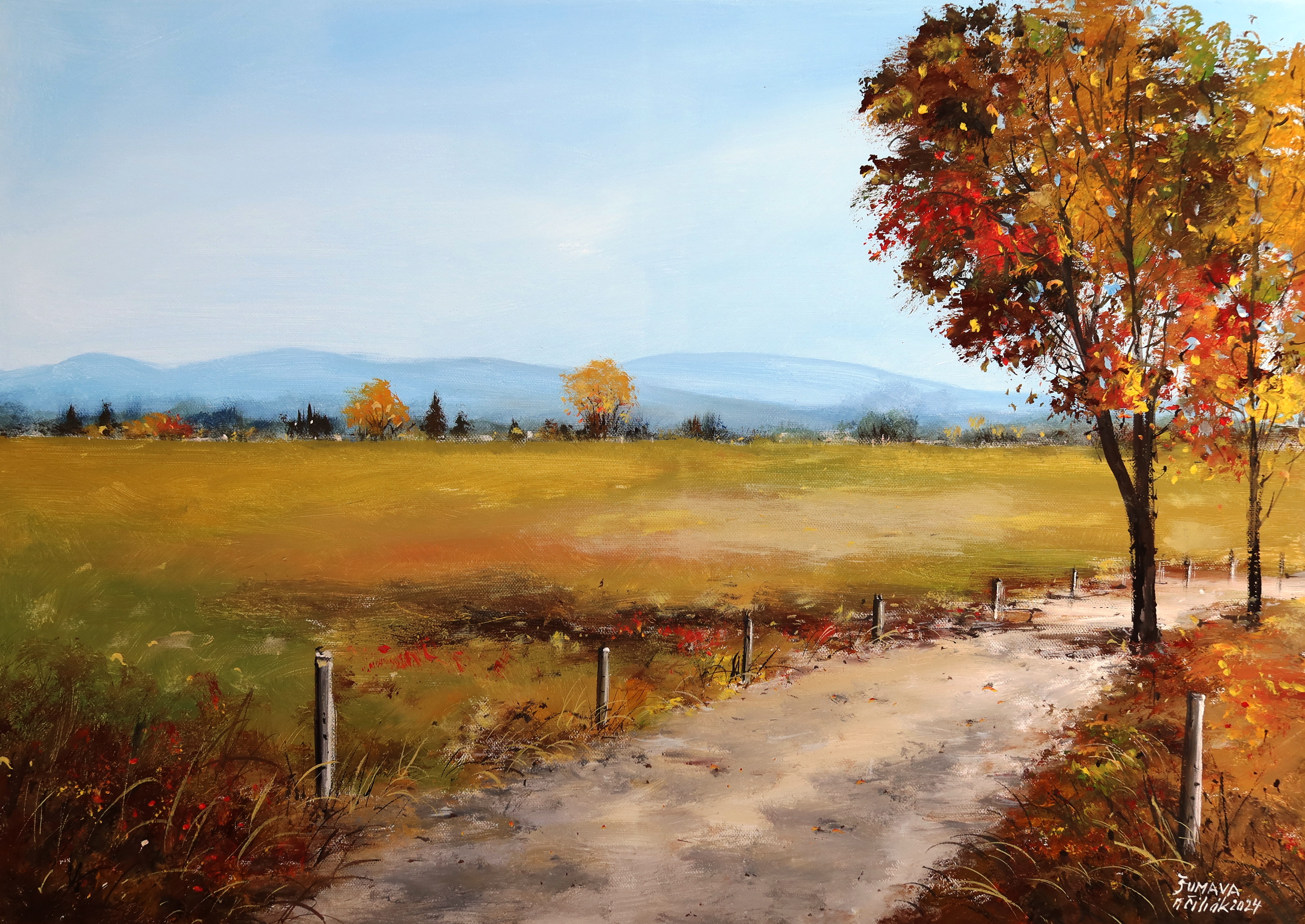 Šumava - Podzimní Knížecí Pláně