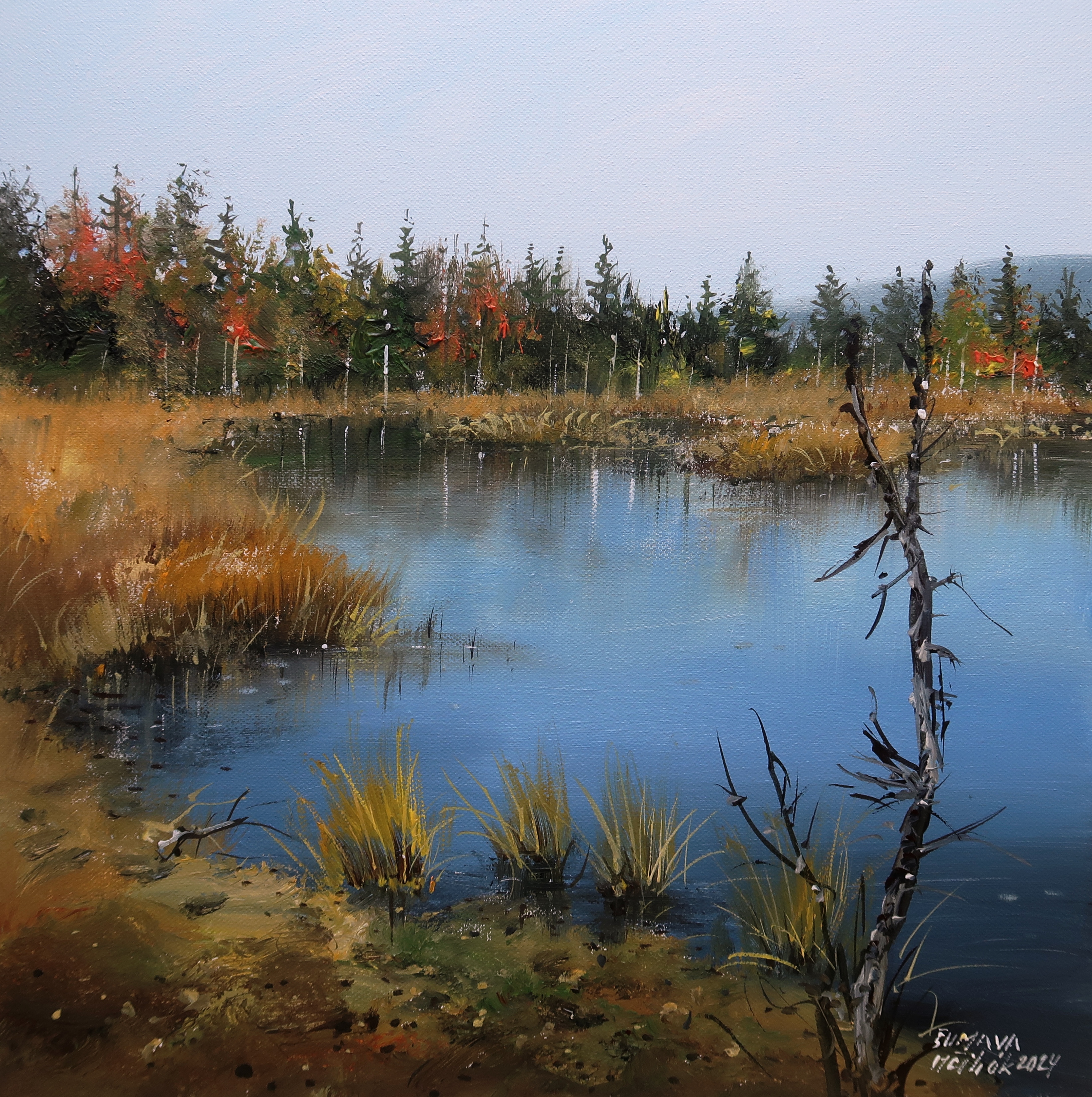 Šumava - Chalupská slať