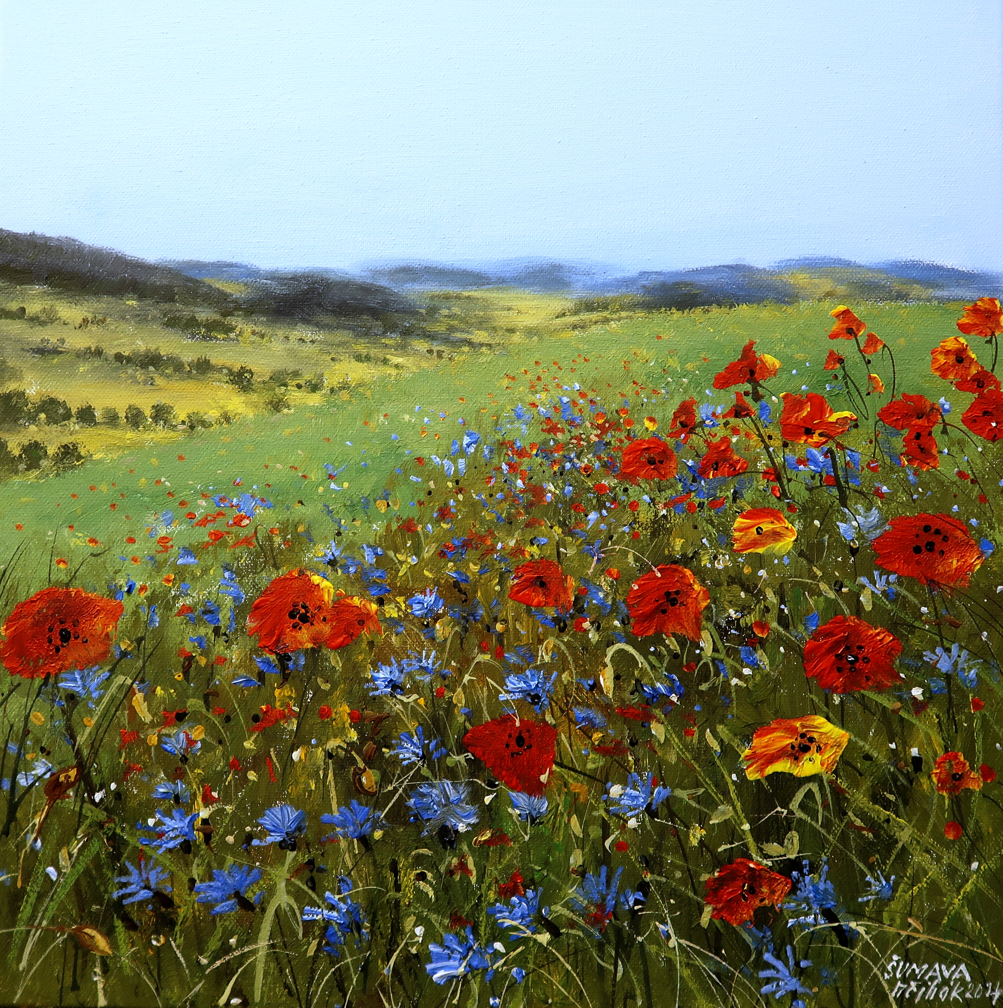 Šumava - Vzpomínka na léto U Malenic