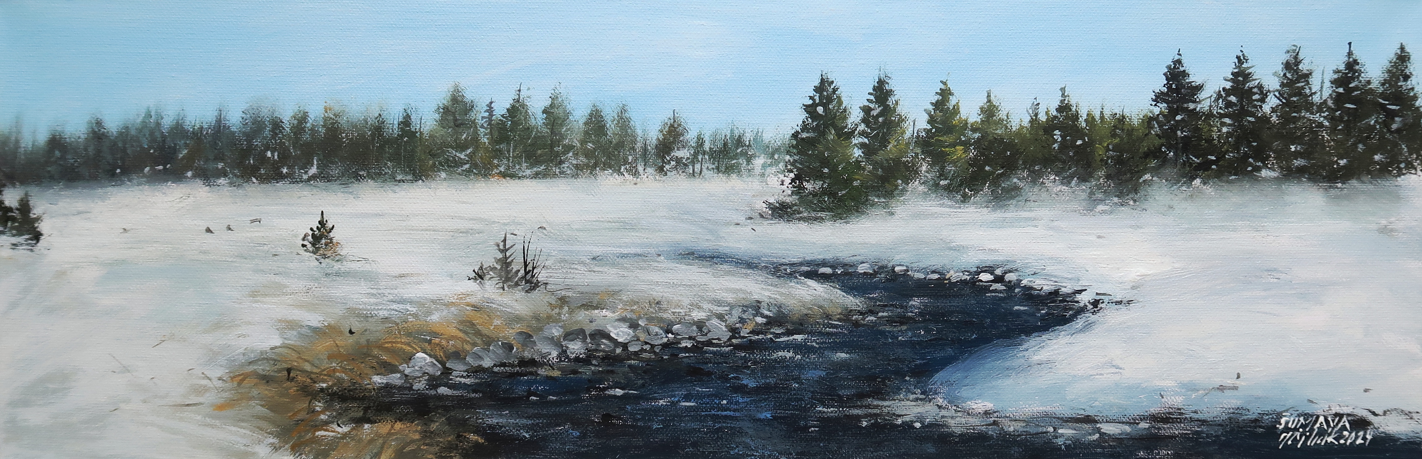 Šumava - Zimní Roklanský potok