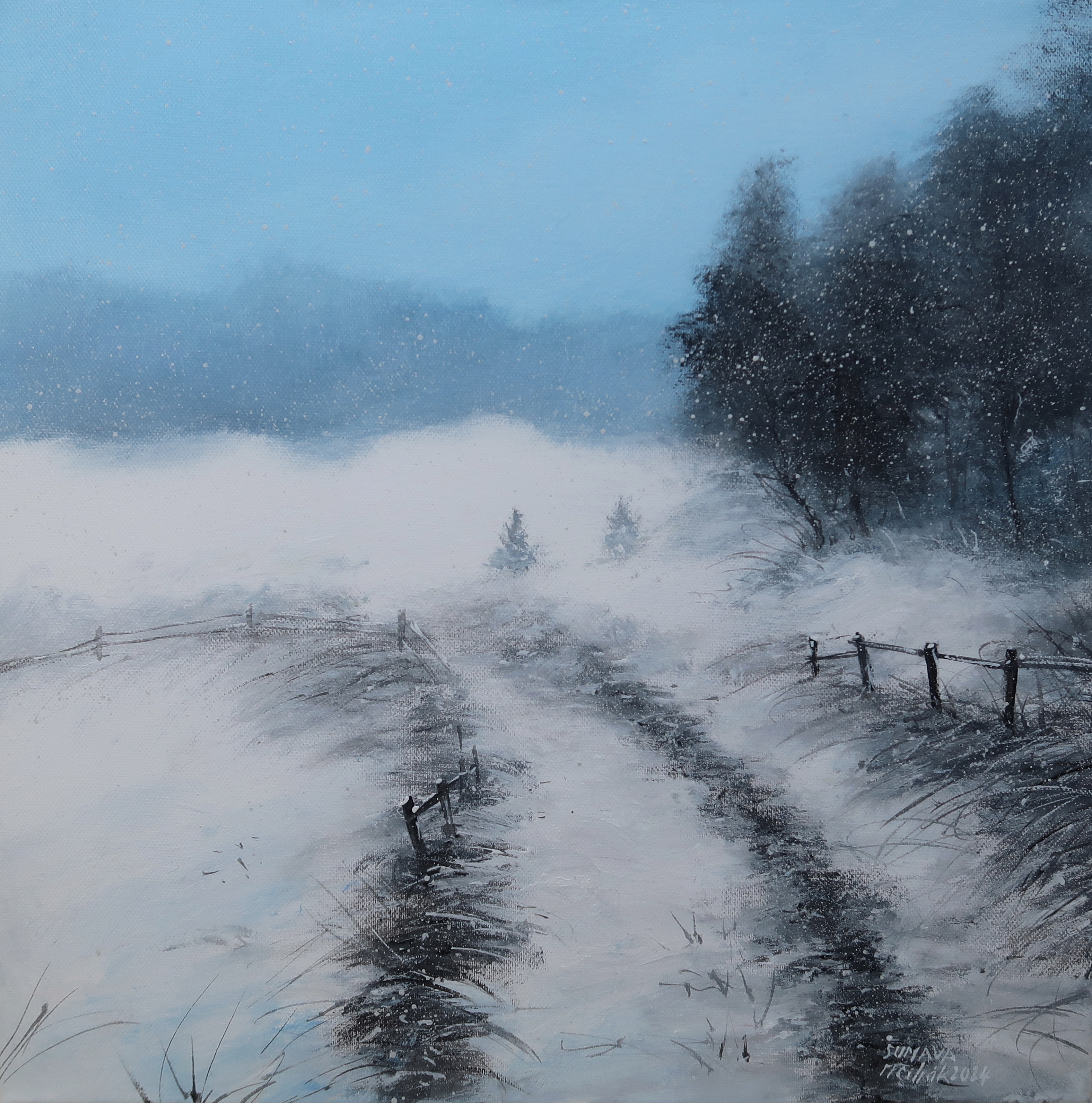 Šumava - Zimní cestou