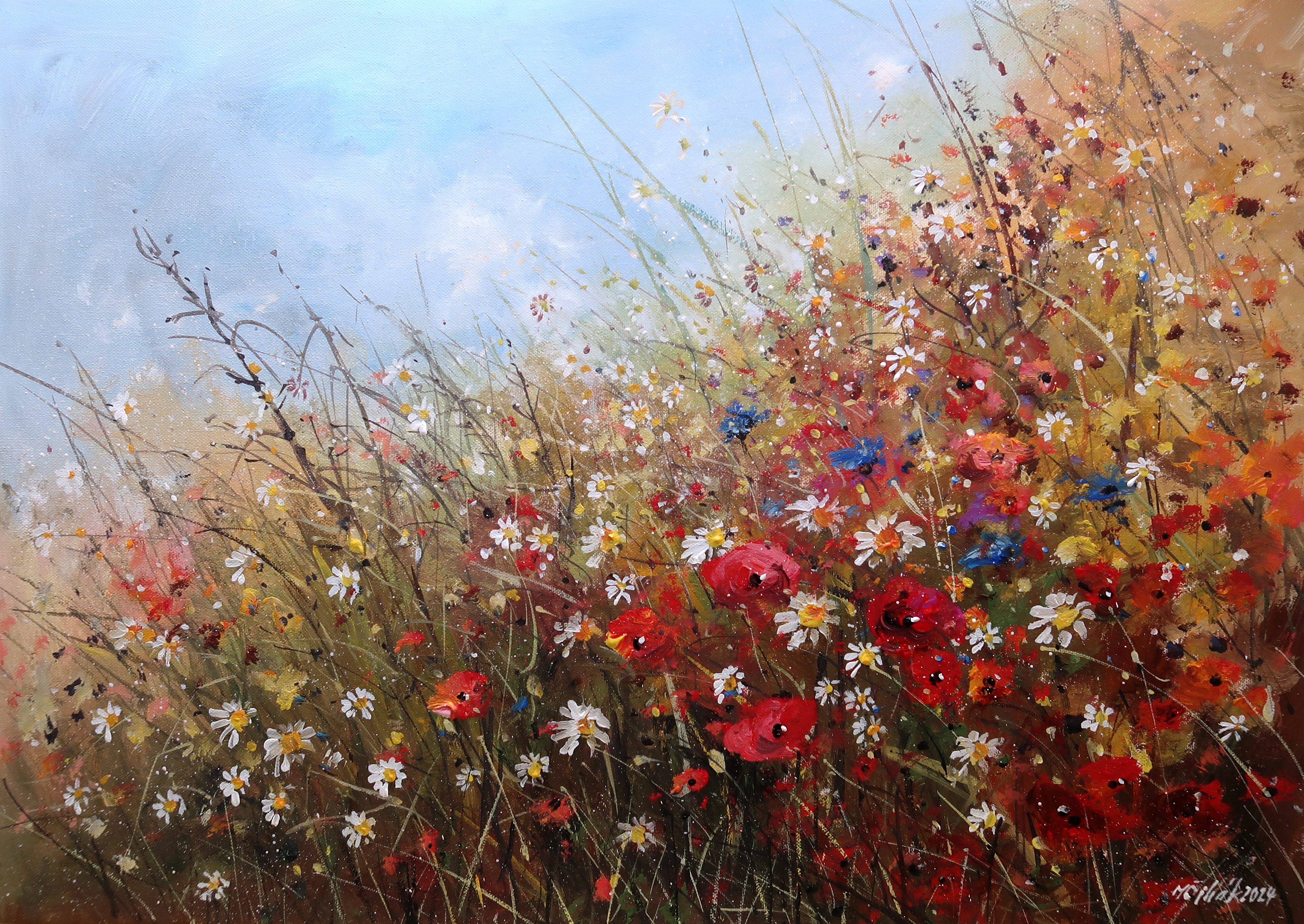 Vzpomínka na léto - barevná louka