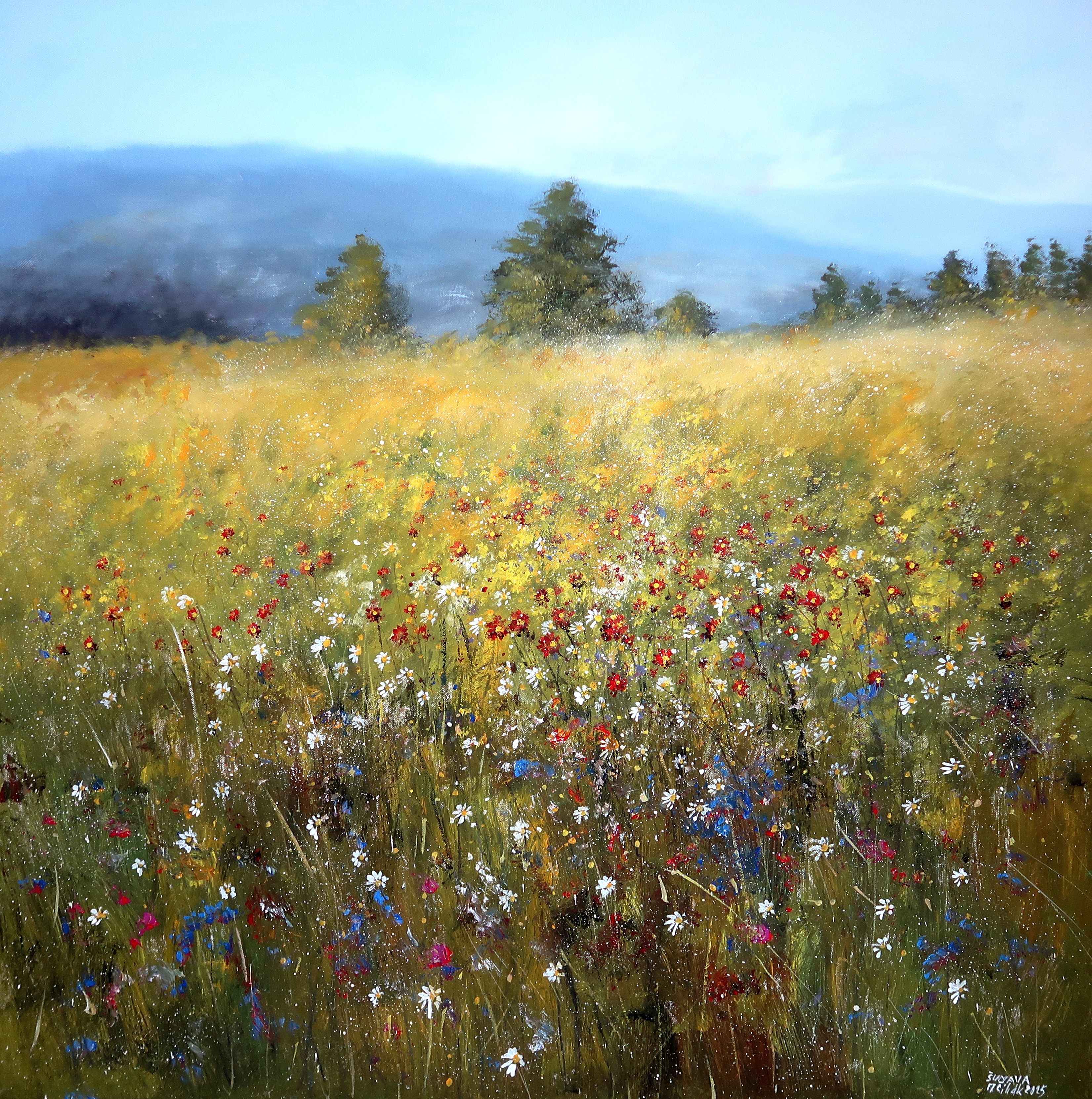 Šumava - Louky na Zhůří