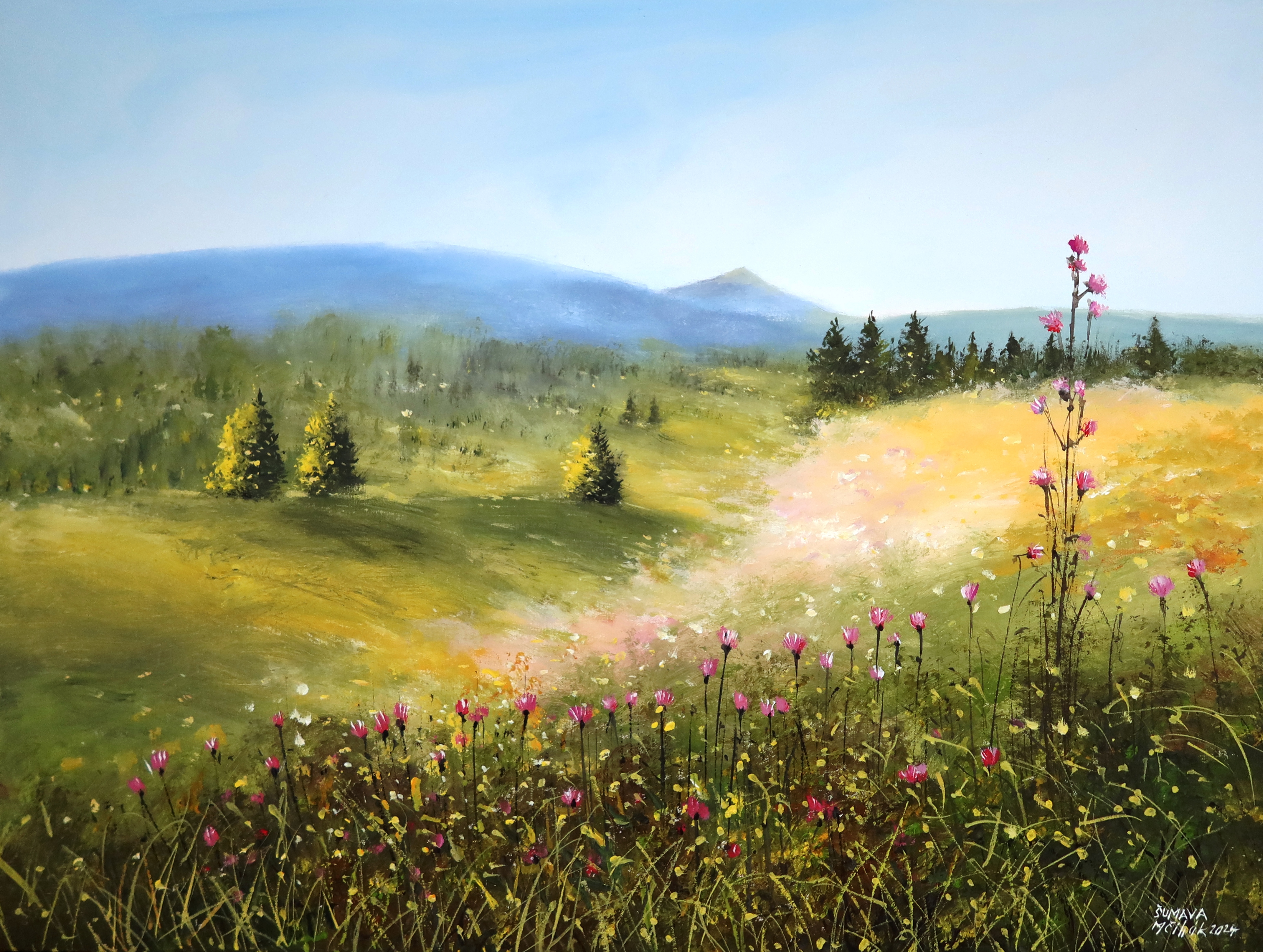 Šumava - Březník