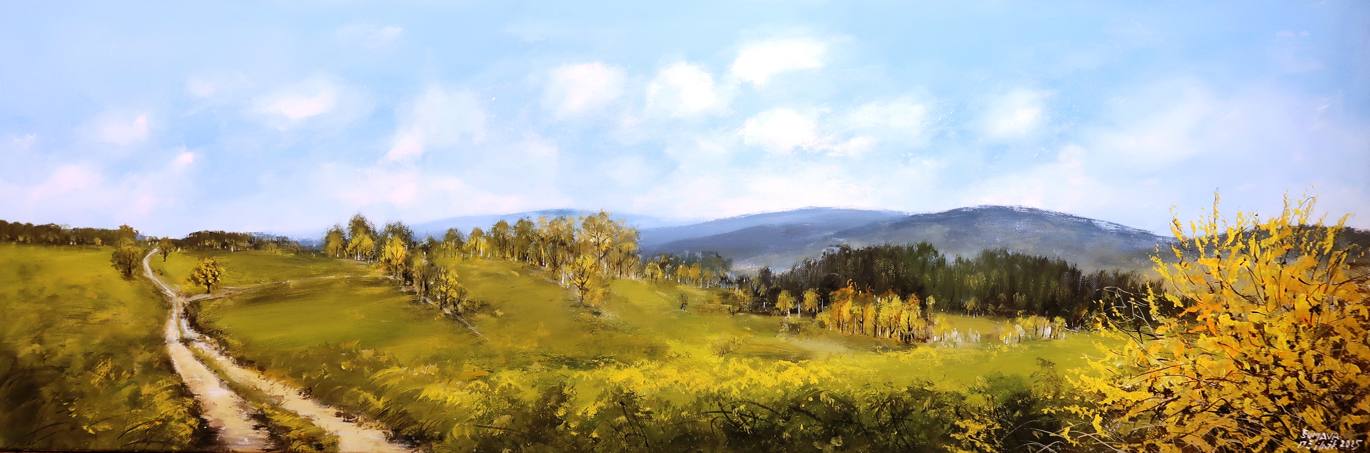 Šumava - Jarní Smrčina s Plechým