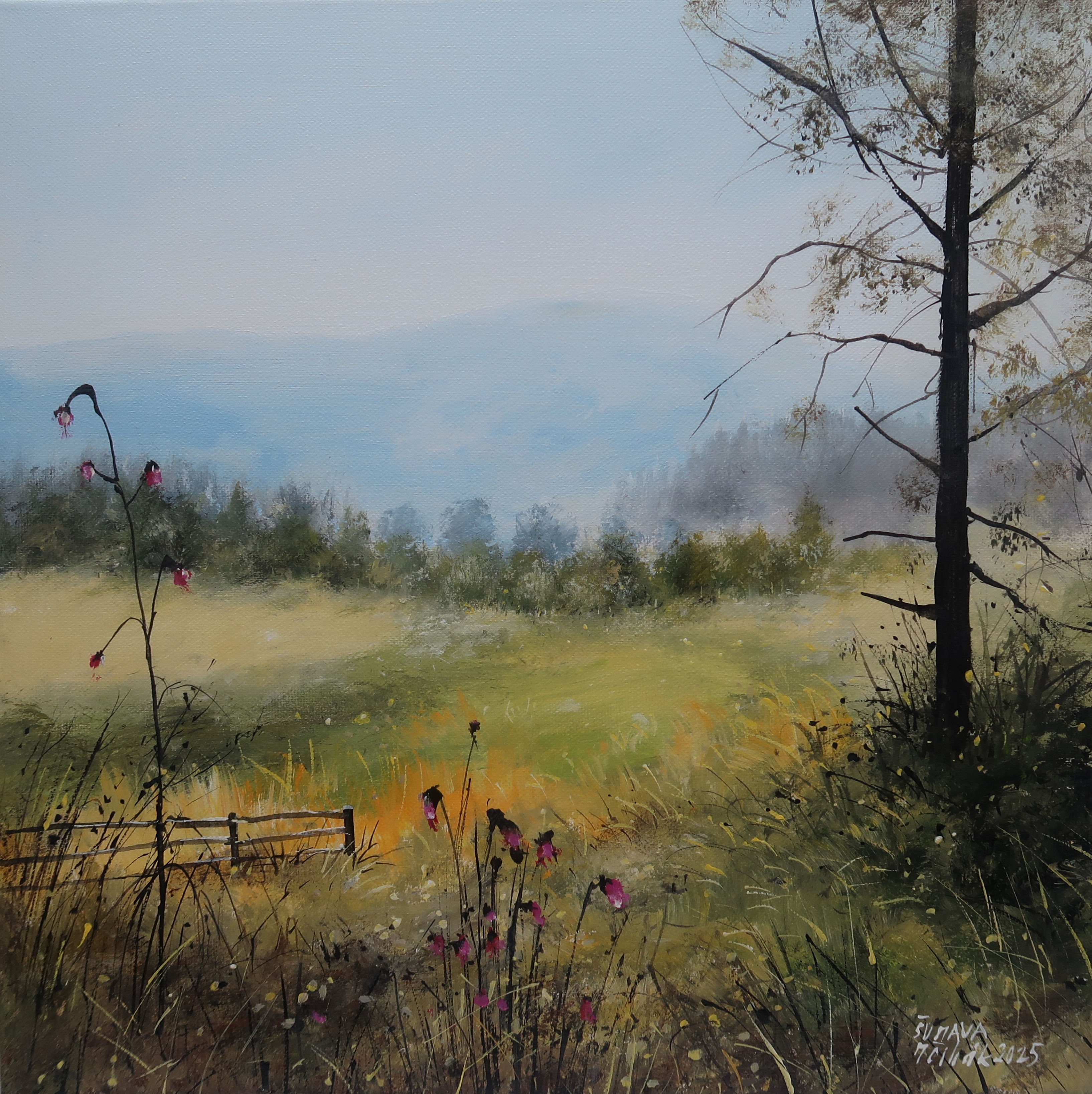 Šumava - Pod Boubínem