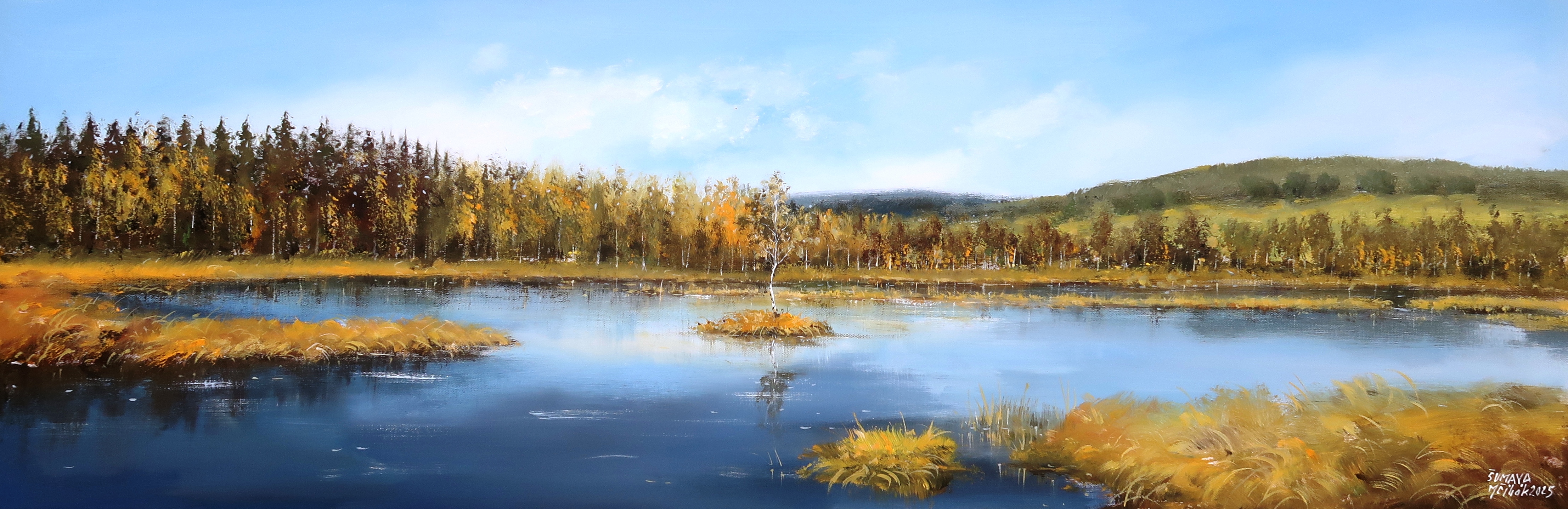 Šumava - Chalupská slať