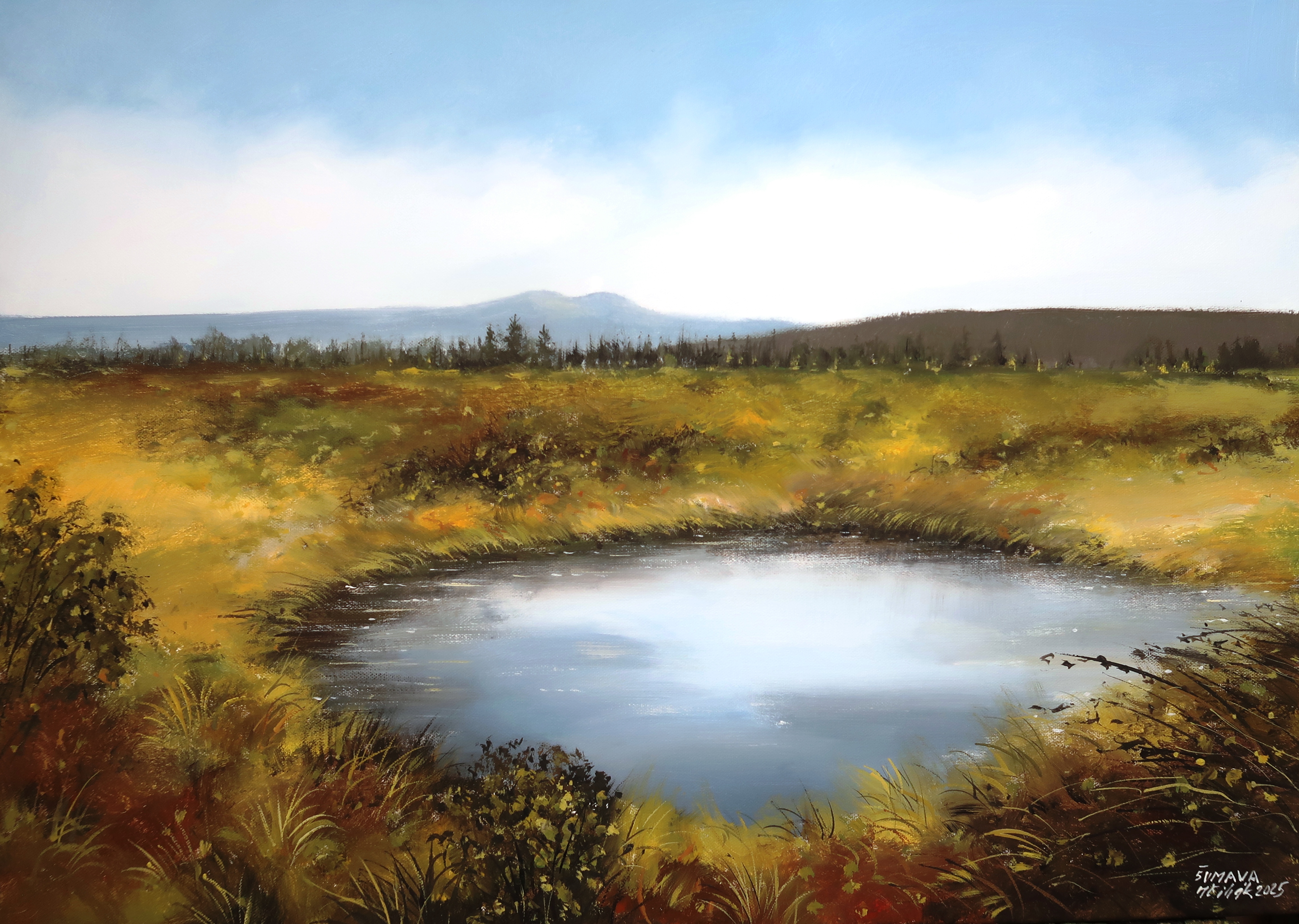 Šumava - Rokytská slať