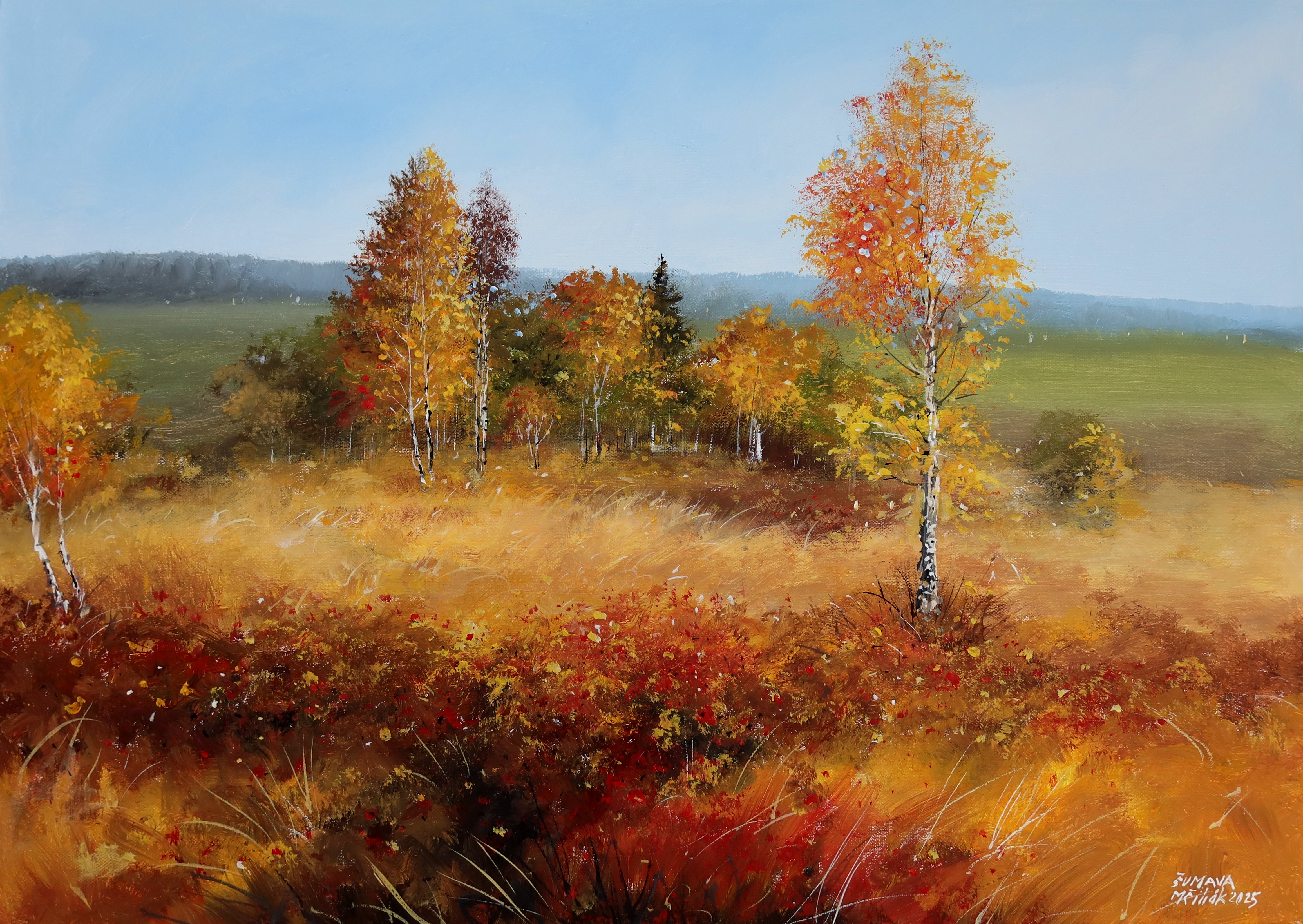 Šumava - Podzimní Knížecí Pláně