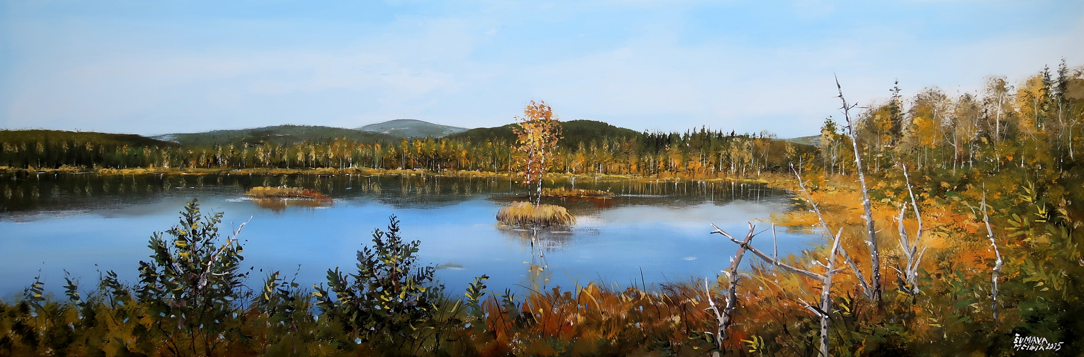 Šumava - Chalupská slať