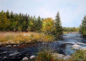 Šumava - Soutok Modravského a Roklanského potoka