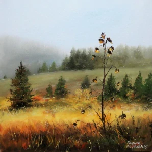 Šumava - Podvečerní Filipova Huť