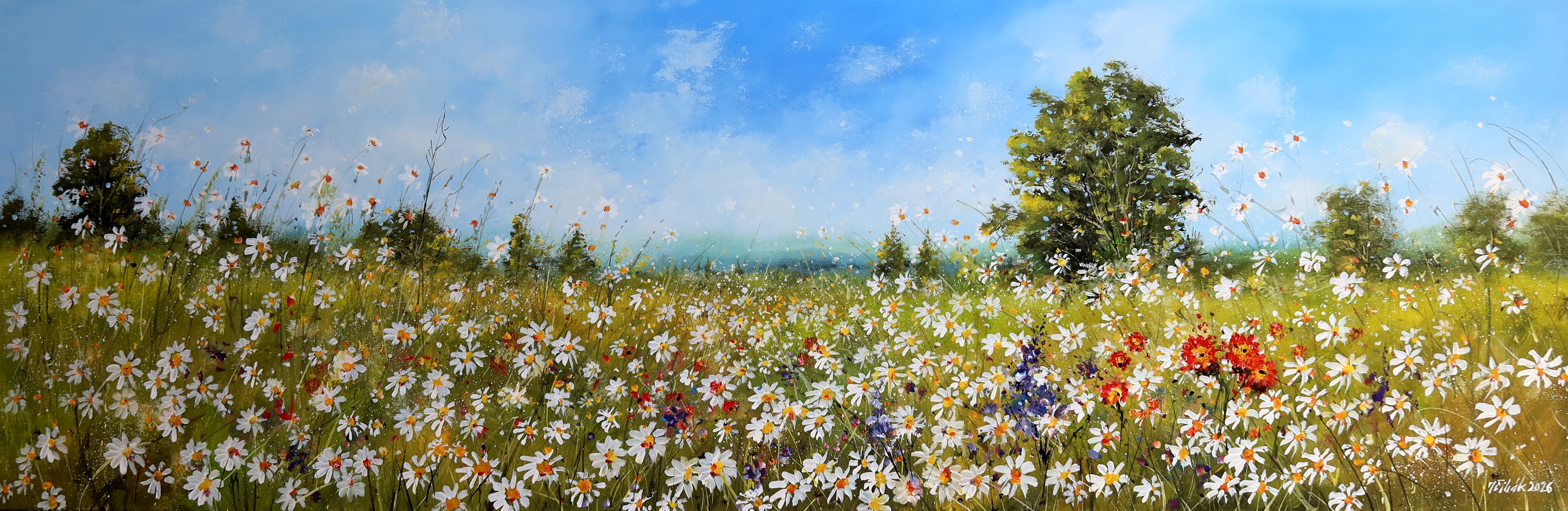 Šumava - Letní louka