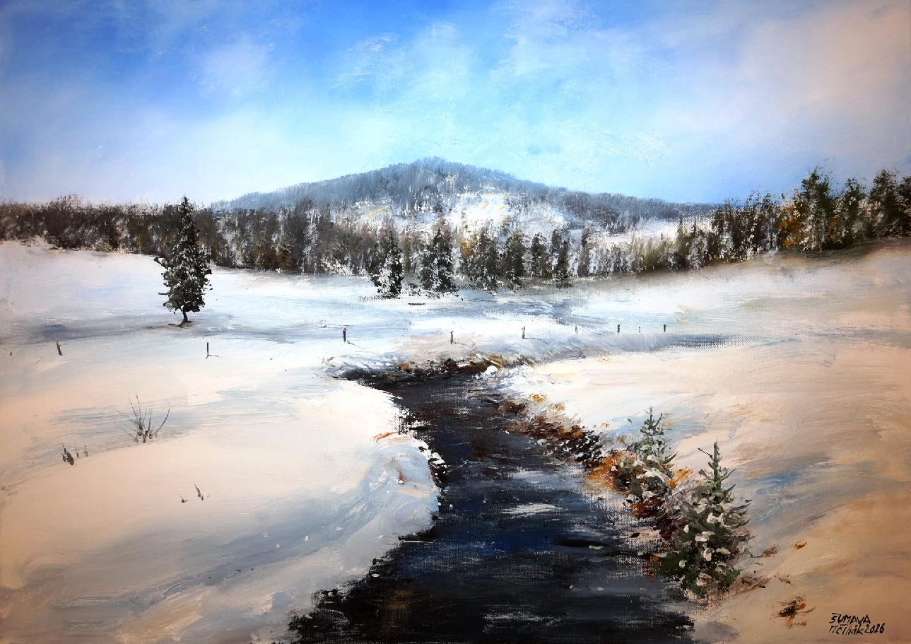 Šumava - Zimní Hamerský potok