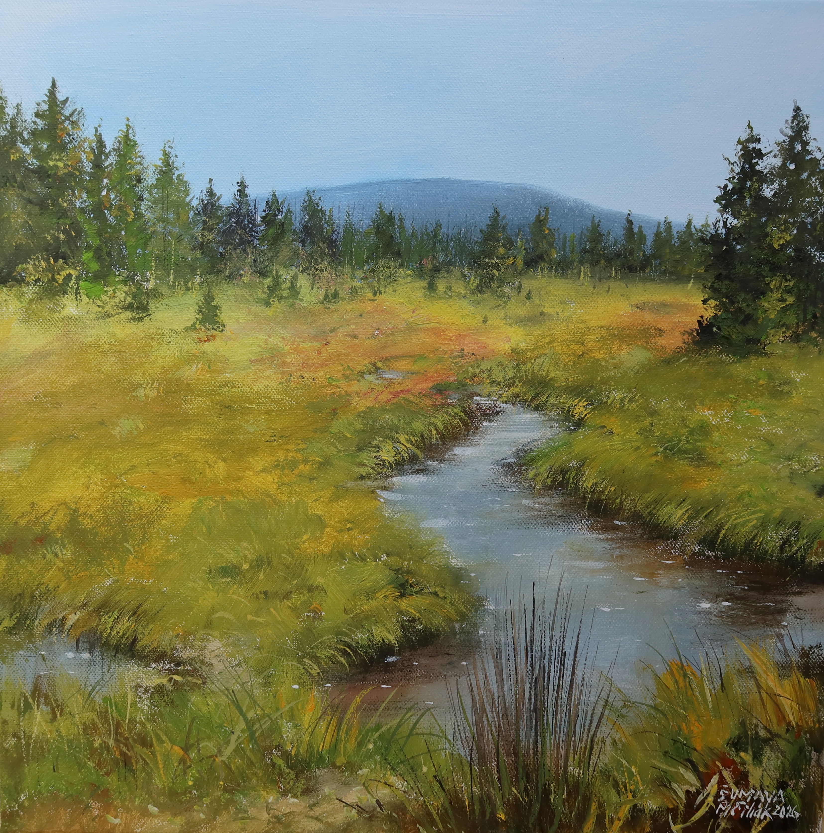 Šumava - Luzenský potok