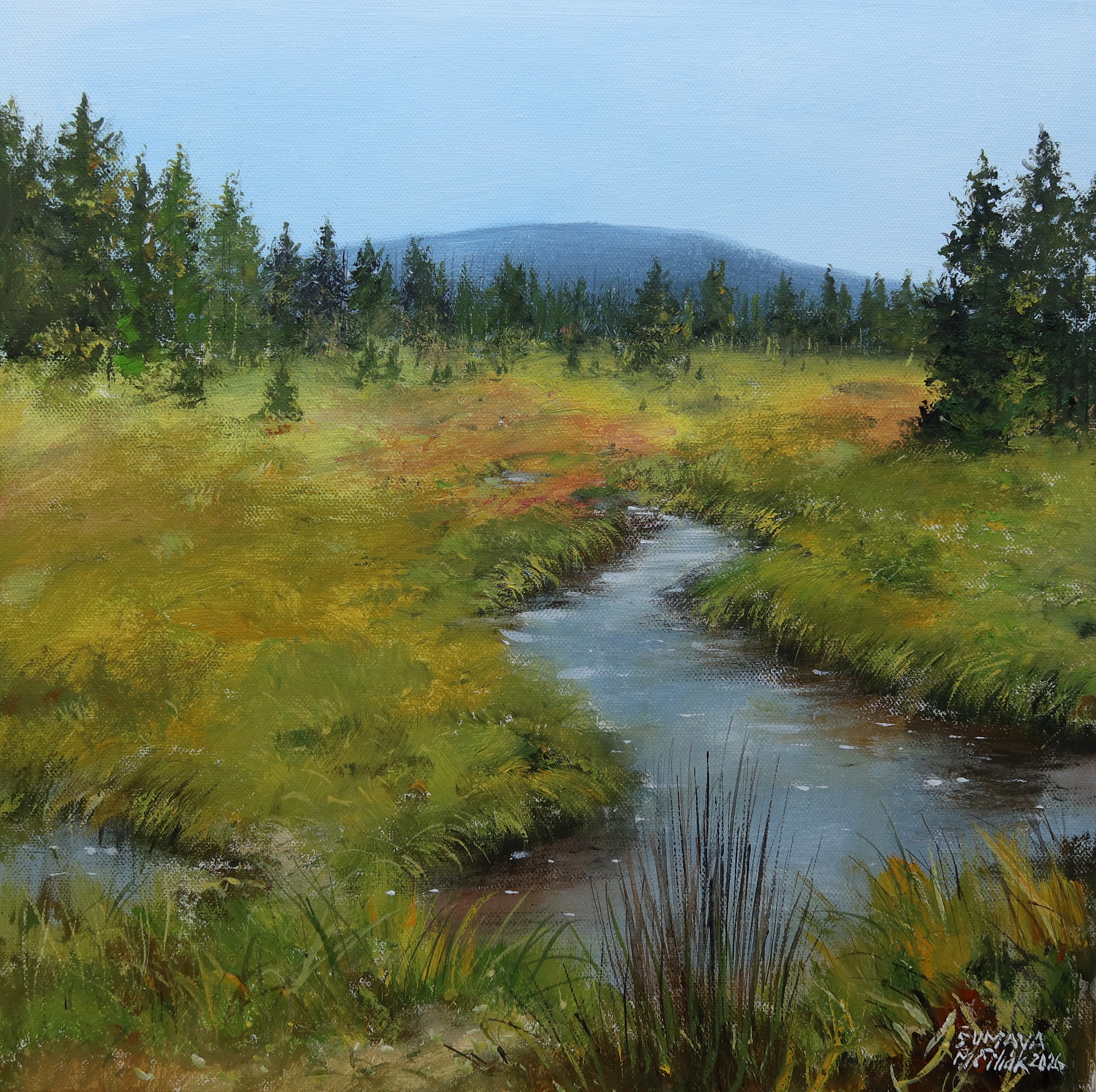 Šumava - Luzenský potok