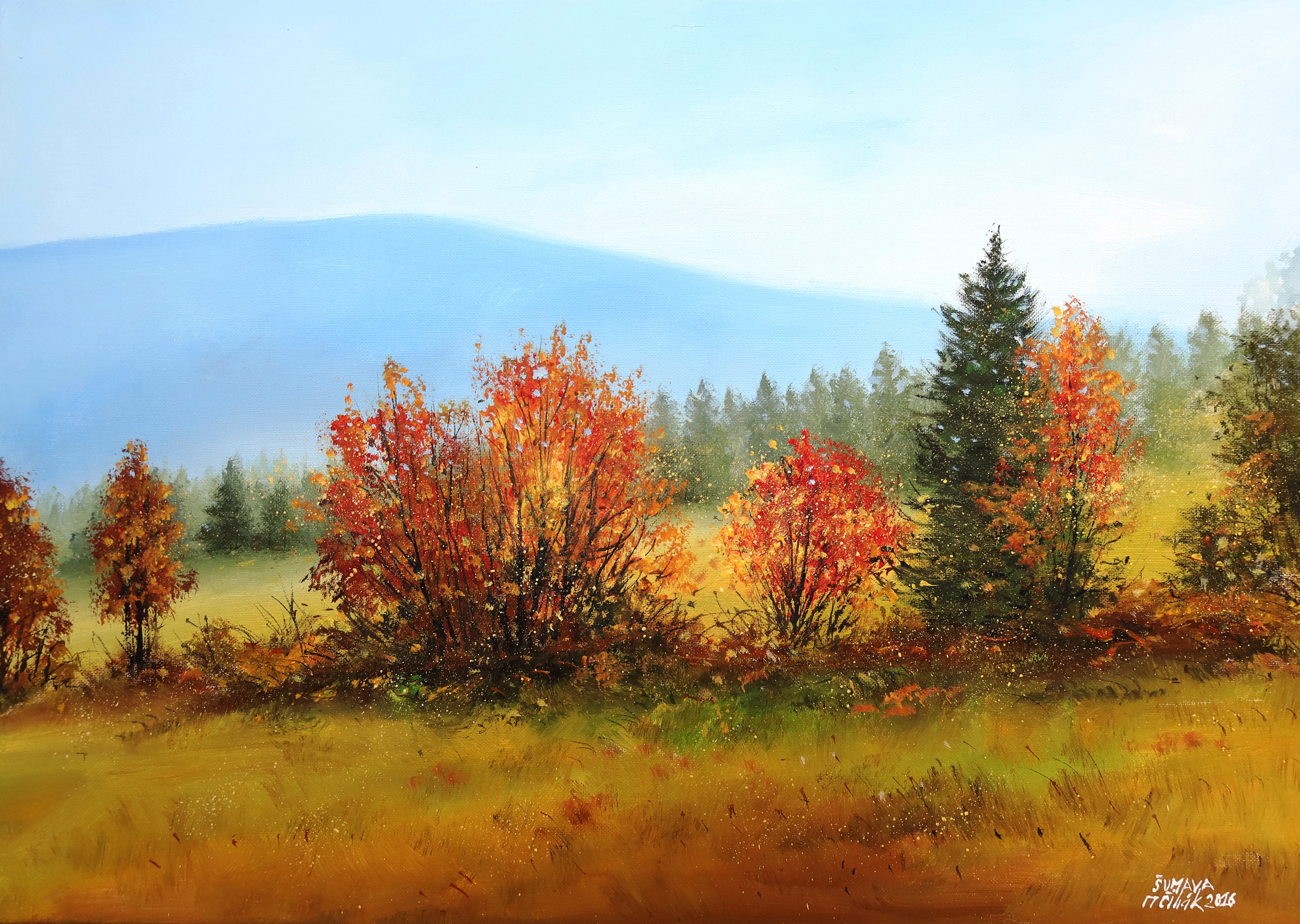 Šumava - Krásná vyhlídka Tejmlov