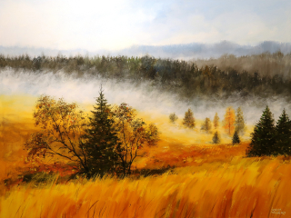 Šumava - Mlhavé údolí